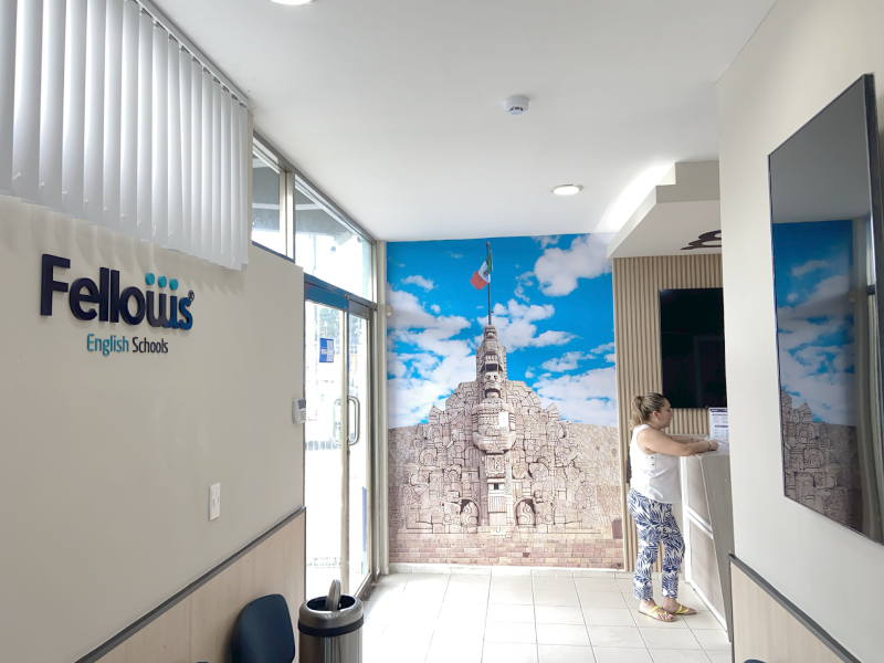 Franquicias-Fellows1